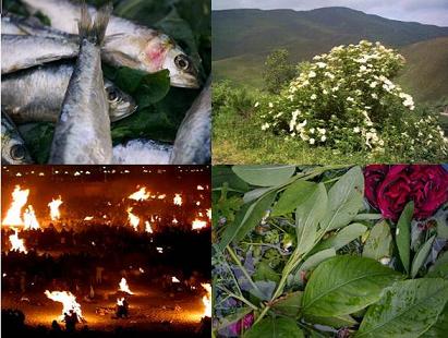 Sardiñas, fogueiras, sabugueiro e rosas,  típicos do S. Xoan